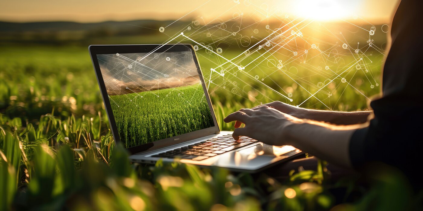 Person tippt auf einem Laptop im grünen Feld, umgeben von digitalen Vernetzungslinien, mit Sonnenuntergang im Hintergrund.