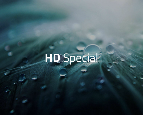 Blatt mit Tropfen drauf im Hintergrund mit dem Schriftzug "HD Special"