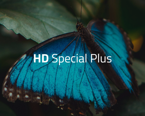 Schmetterling im Hintergrund mit dem Schriftzug "HD Special"